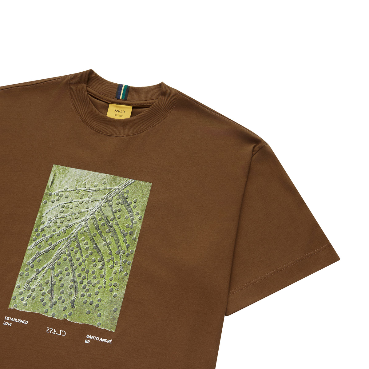 T-SHIRT CLASS AÇAI BROWN